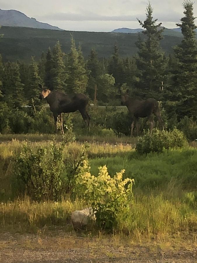 Denali Park Hotel Хили Экстерьер фото