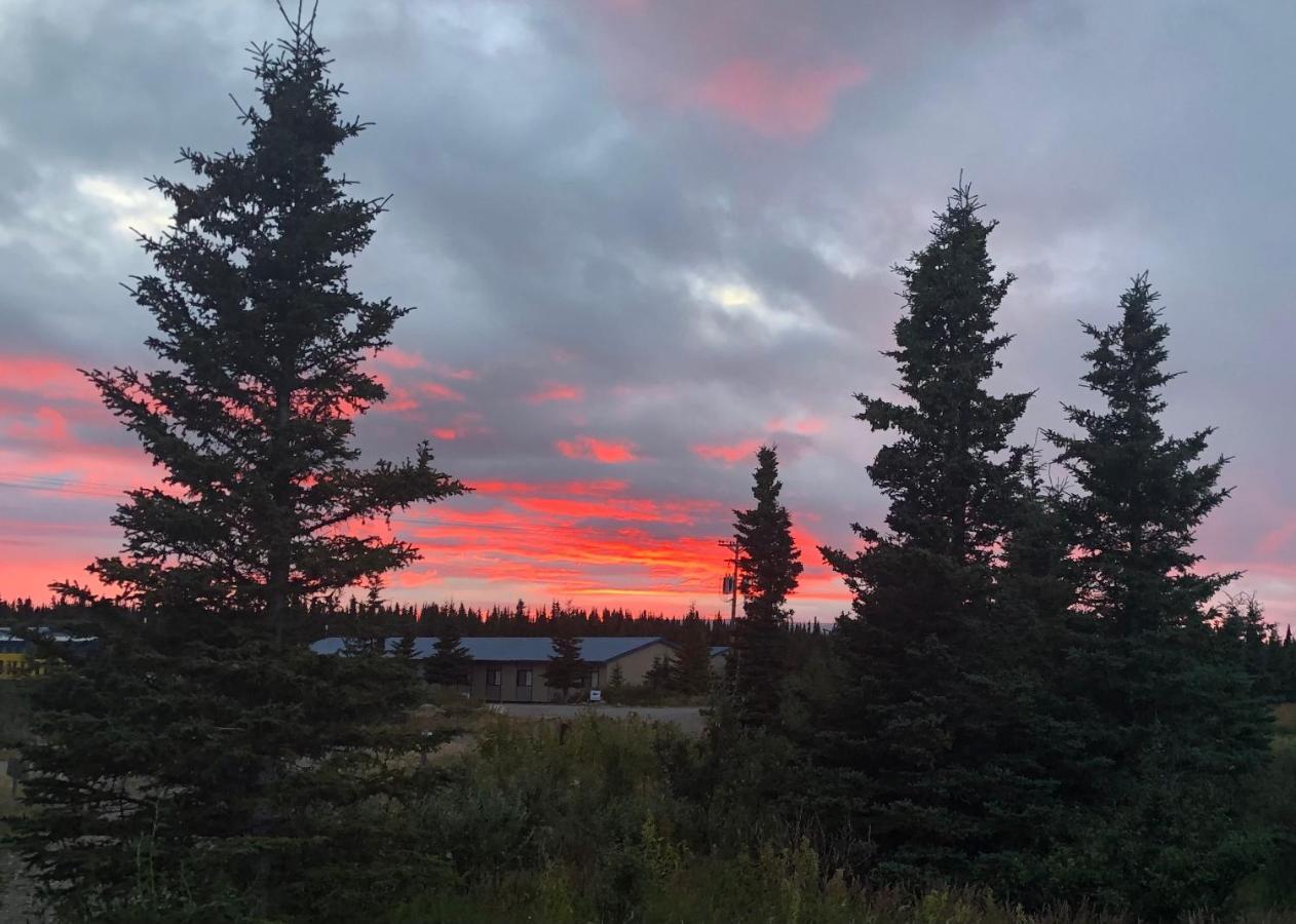 Denali Park Hotel Хили Экстерьер фото