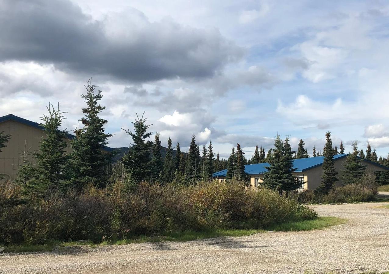 Denali Park Hotel Хили Экстерьер фото