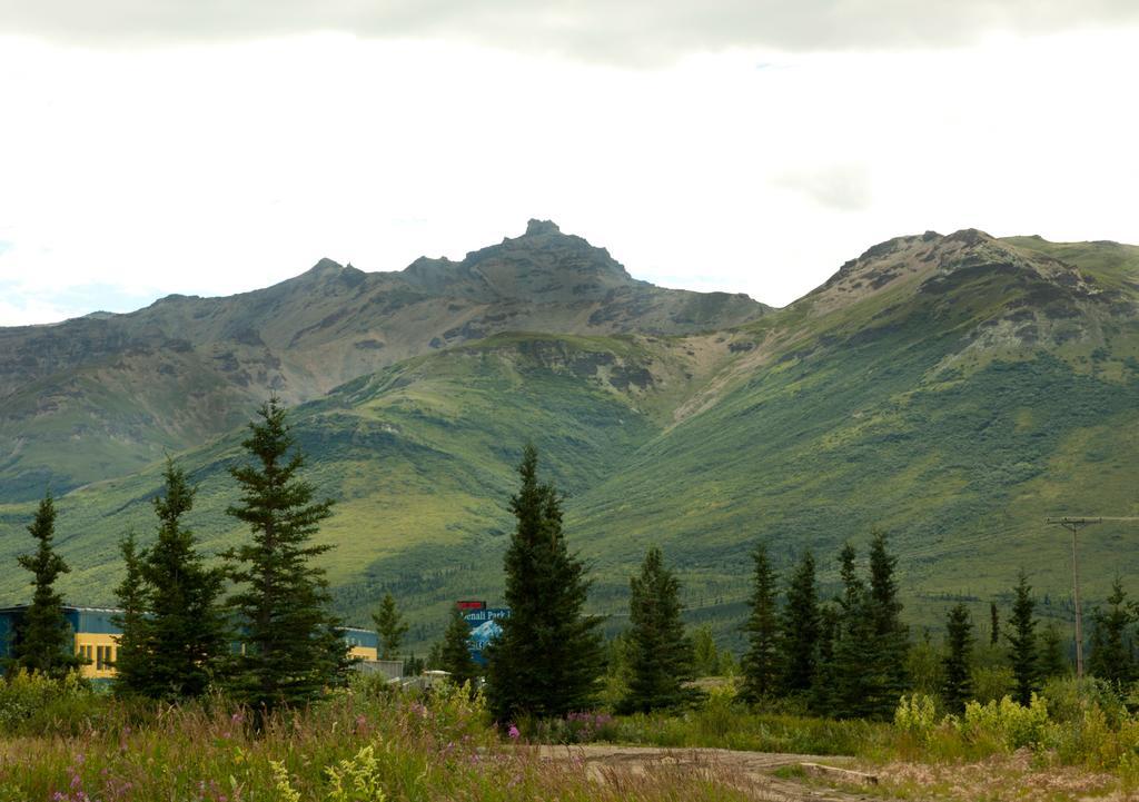 Denali Park Hotel Хили Экстерьер фото