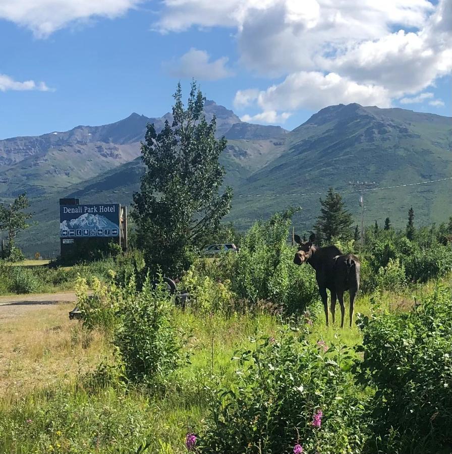 Denali Park Hotel Хили Экстерьер фото